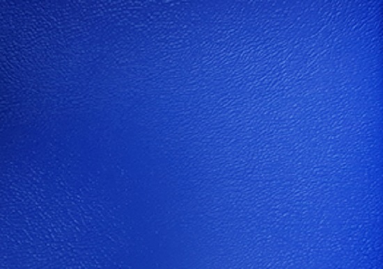 Amigo Vinyl - Blue